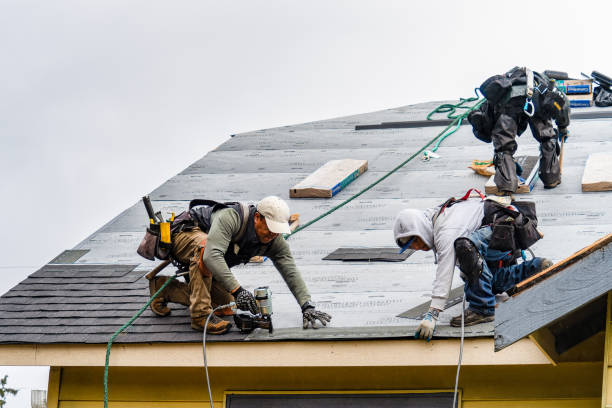 Professional Storm Damage Roof Repair technician working in Rigby, ID